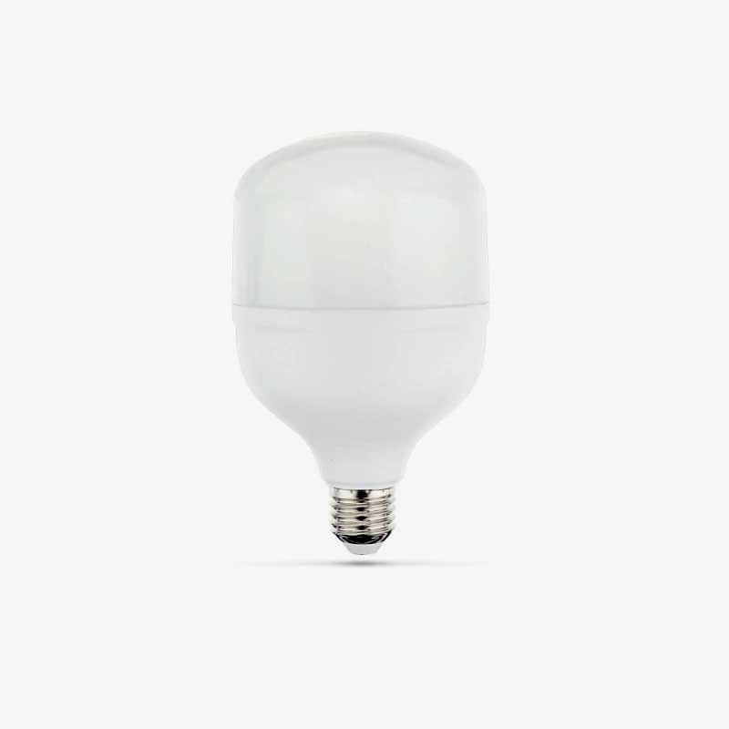 LED zarulja E27 T100 30W